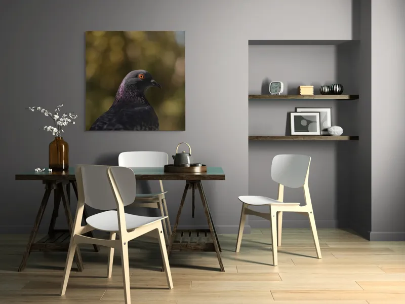 Tablou Canvas, "Pacea unei dimineți de toamnă", Porumbel, Ochi, Penaj, Reflectii, Focalizare, Natura, Calmitate, Fundal, Frumos, Detaliu, 100 x 100 cm – poza 6