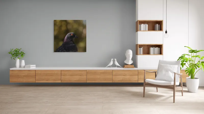 Tablou Canvas, "Pacea unei dimineți de toamnă", Porumbel, Ochi, Penaj, Reflectii, Focalizare, Natura, Calmitate, Fundal, Frumos, Detaliu, 100 x 100 cm – poza 8