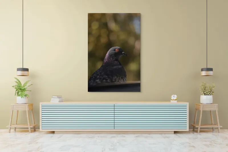 Tablou Canvas, "Pacea unei dimineți de toamnă", Porumbel, Ochi, Penaj, Reflectii, Focalizare, Natura, Calmitate, Fundal, Frumos, Detaliu, 100 x 150 cm – poza 4
