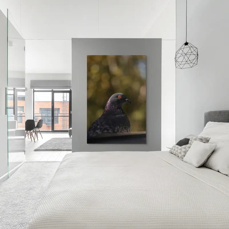 Tablou Canvas, "Pacea unei dimineți de toamnă", Porumbel, Ochi, Penaj, Reflectii, Focalizare, Natura, Calmitate, Fundal, Frumos, Detaliu, 100 x 150 cm – poza 5