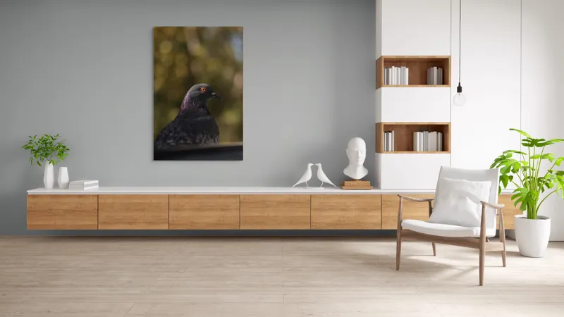 Tablou Canvas, "Pacea unei dimineți de toamnă", Porumbel, Ochi, Penaj, Reflectii, Focalizare, Natura, Calmitate, Fundal, Frumos, Detaliu, 100 x 150 cm – poza 8