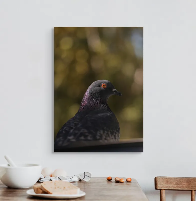 Tablou Canvas, "Pacea unei dimineți de toamnă", Porumbel, Ochi, Penaj, Reflectii, Focalizare, Natura, Calmitate, Fundal, Frumos, Detaliu, 50 x 70 cm – poza 3
