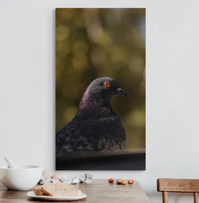 Tablou Canvas, "Pacea unei dimineți de toamnă", Porumbel, Ochi, Penaj, Reflectii, Focalizare, Natura, Calmitate, Fundal, Frumos, Detaliu, 50 x 90 cm – poza 3