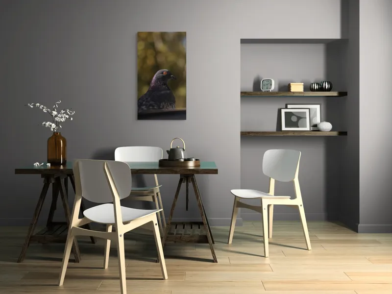 Tablou Canvas, "Pacea unei dimineți de toamnă", Porumbel, Ochi, Penaj, Reflectii, Focalizare, Natura, Calmitate, Fundal, Frumos, Detaliu, 50 x 90 cm – poza 4