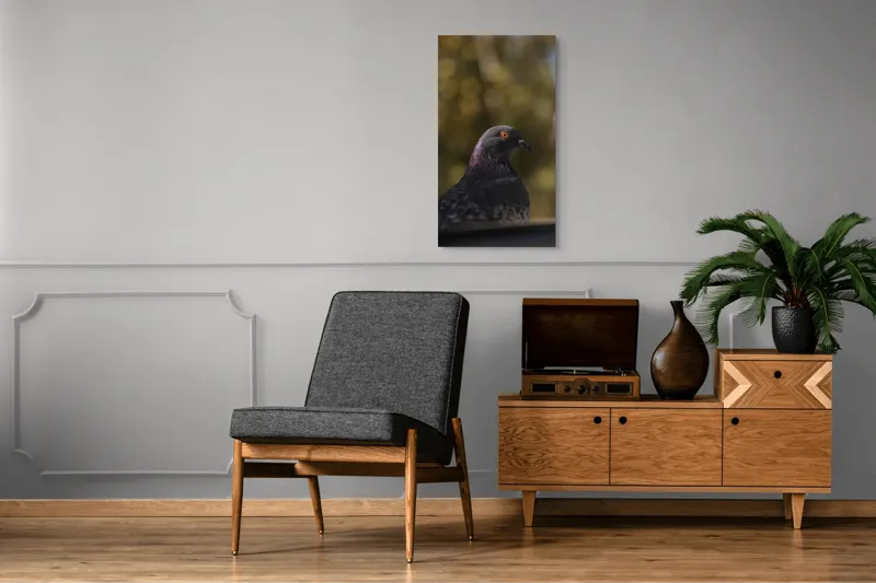 Tablou Canvas, "Pacea unei dimineți de toamnă", Porumbel, Ochi, Penaj, Reflectii, Focalizare, Natura, Calmitate, Fundal, Frumos, Detaliu, 50 x 90 cm – poza 8