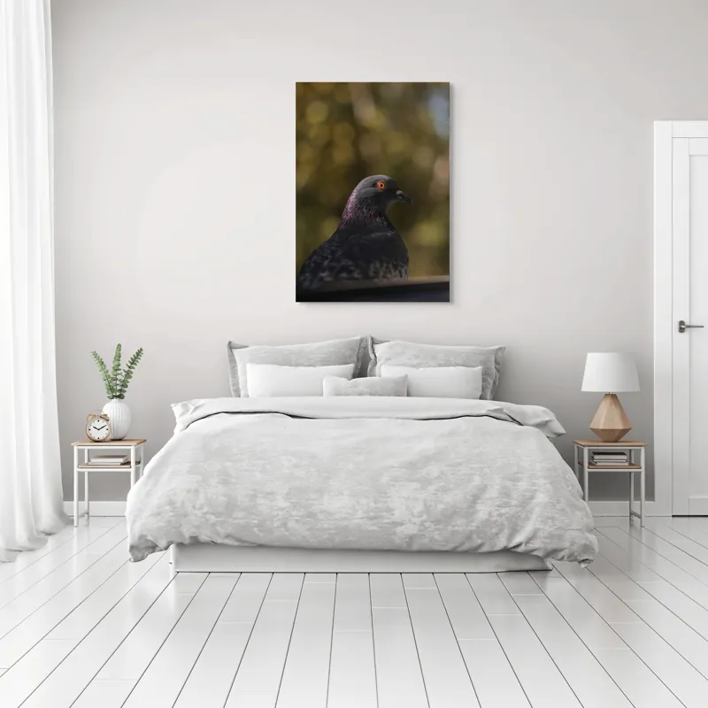 Tablou Canvas, "Pacea unei dimineți de toamnă", Porumbel, Ochi, Penaj, Reflectii, Focalizare, Natura, Calmitate, Fundal, Frumos, Detaliu, 70 x 100 cm – poza 3
