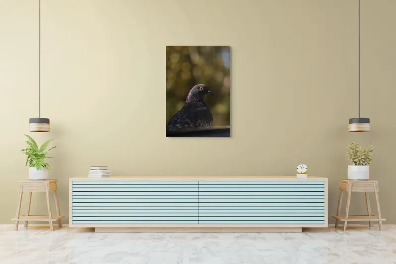 Tablou Canvas, "Pacea unei dimineți de toamnă", Porumbel, Ochi, Penaj, Reflectii, Focalizare, Natura, Calmitate, Fundal, Frumos, Detaliu, 70 x 100 cm – poza 5