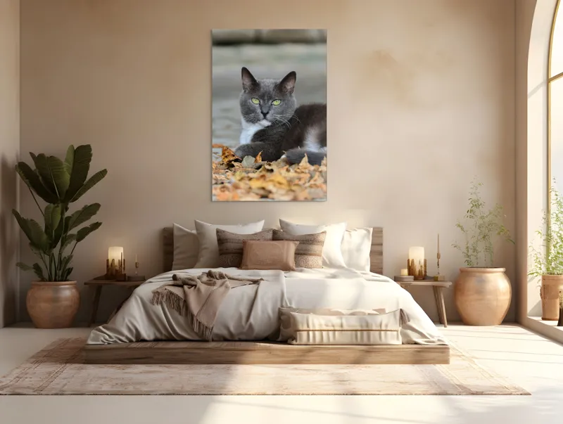 Tablou Canvas, "Pisică albastră printre frunze uscate", Pisică, Gri, Frunze, Toamnă, Blană, Privire, Relaxare, Natură, 100 x 150 cm – poza 3