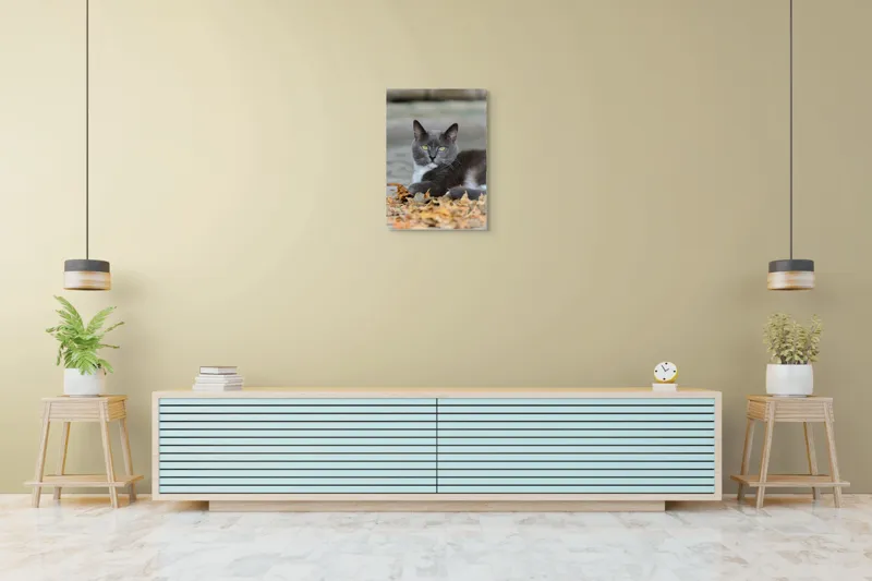 Tablou Canvas, "Pisică albastră printre frunze uscate", Pisică, Gri, Frunze, Toamnă, Blană, Privire, Relaxare, Natură, 50 x 70 cm – poza 6