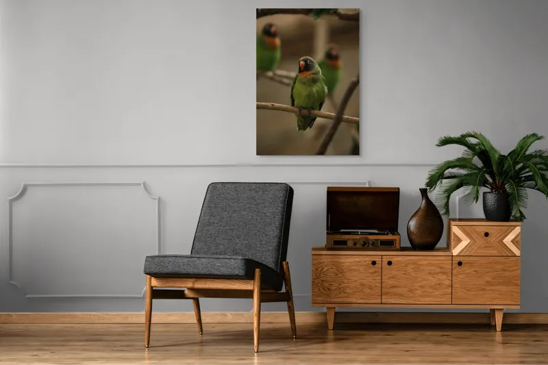 Tablou Canvas, "Papagal pe ramură liniștită", Verde, Papagal, Ramură, Contemplativ, Blândețe, Pene, Portocaliu, Natură, Frumusețe, Delicat., 70 x 100 cm – poza 6