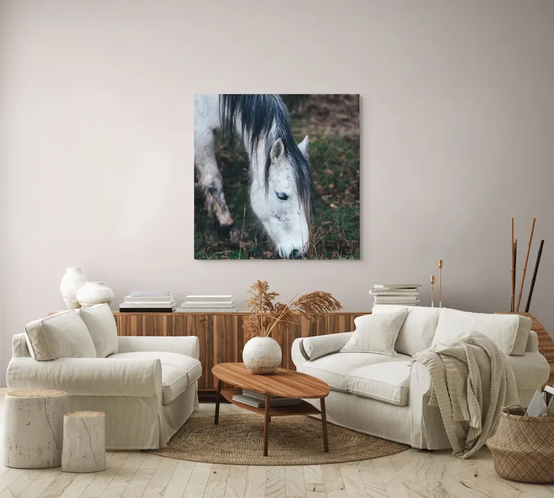 Tablou Canvas, "Cal alb pășunând în zori.", Cal, Alb, Mânz, Păr, Iarbă, Natură, Blând, Pastel, Fermecător, Rustic, 100 x 100 cm – poza 3