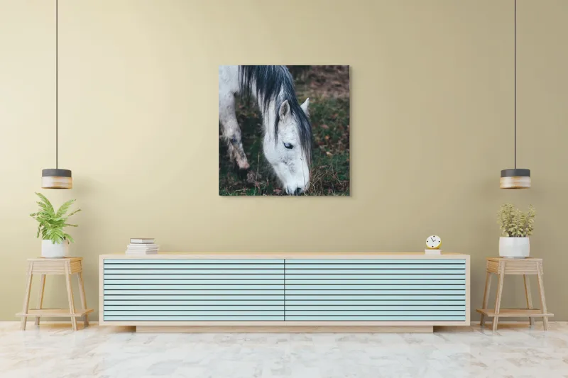 Tablou Canvas, "Cal alb pășunând în zori.", Cal, Alb, Mânz, Păr, Iarbă, Natură, Blând, Pastel, Fermecător, Rustic, 100 x 100 cm – poza 5