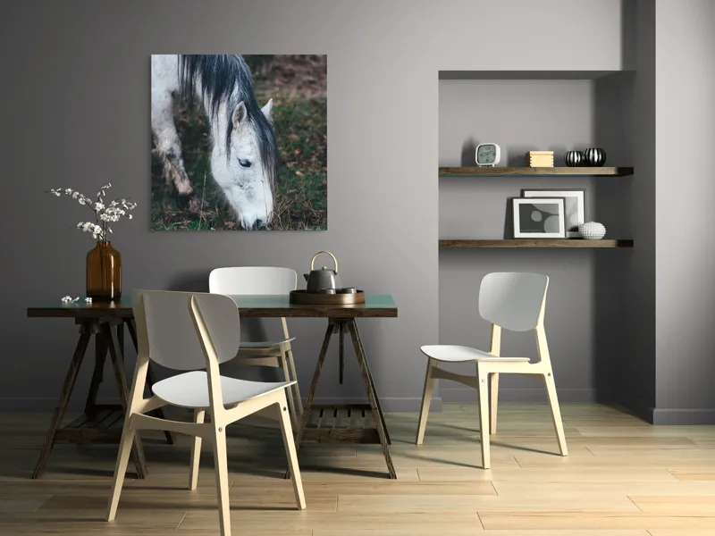 Tablou Canvas, "Cal alb pășunând în zori.", Cal, Alb, Mânz, Păr, Iarbă, Natură, Blând, Pastel, Fermecător, Rustic, 100 x 100 cm – poza 6