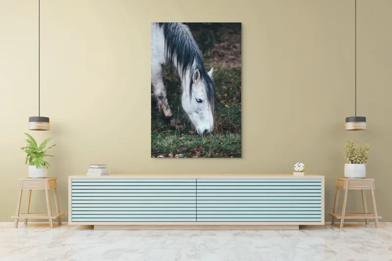 Tablou Canvas, "Cal alb pășunând în zori.", Cal, Alb, Mânz, Păr, Iarbă, Natură, Blând, Pastel, Fermecător, Rustic, 100 x 150 cm – poza 4