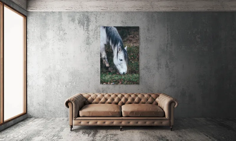 Tablou Canvas, "Cal alb pășunând în zori.", Cal, Alb, Mânz, Păr, Iarbă, Natură, Blând, Pastel, Fermecător, Rustic, 100 x 150 cm – poza 6