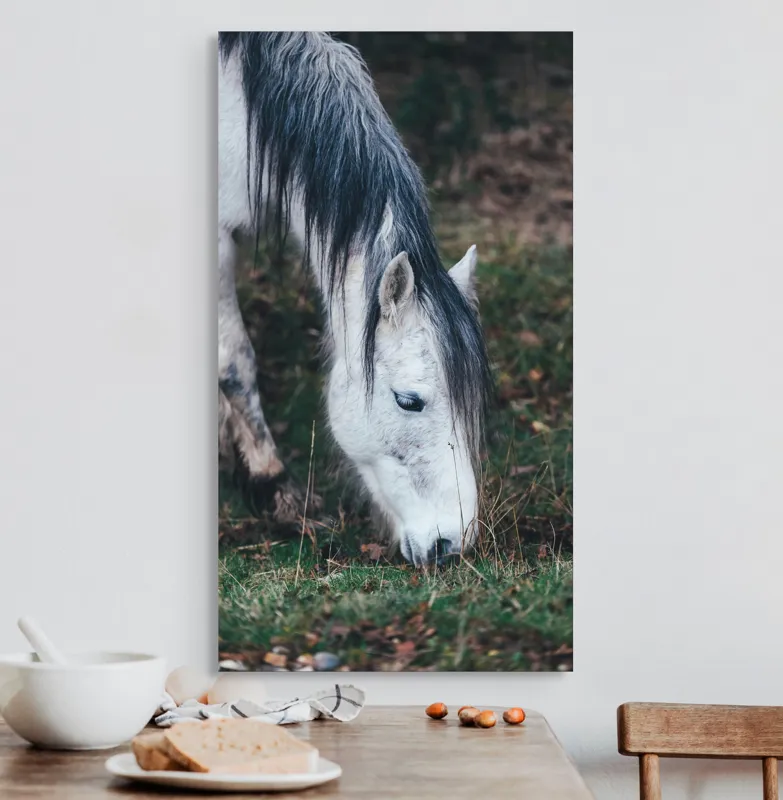 Tablou Canvas, "Cal alb pășunând în zori.", Cal, Alb, Mânz, Păr, Iarbă, Natură, Blând, Pastel, Fermecător, Rustic, 50 x 90 cm – poza 3