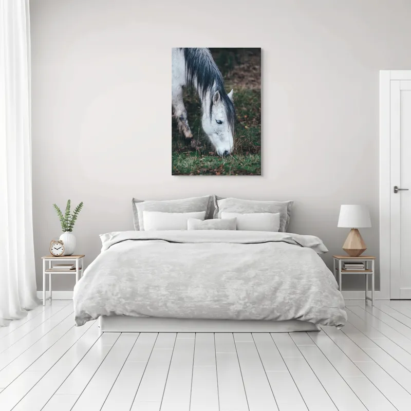 Tablou Canvas, "Cal alb pășunând în zori.", Cal, Alb, Mânz, Păr, Iarbă, Natură, Blând, Pastel, Fermecător, Rustic, 70 x 100 cm – poza 3