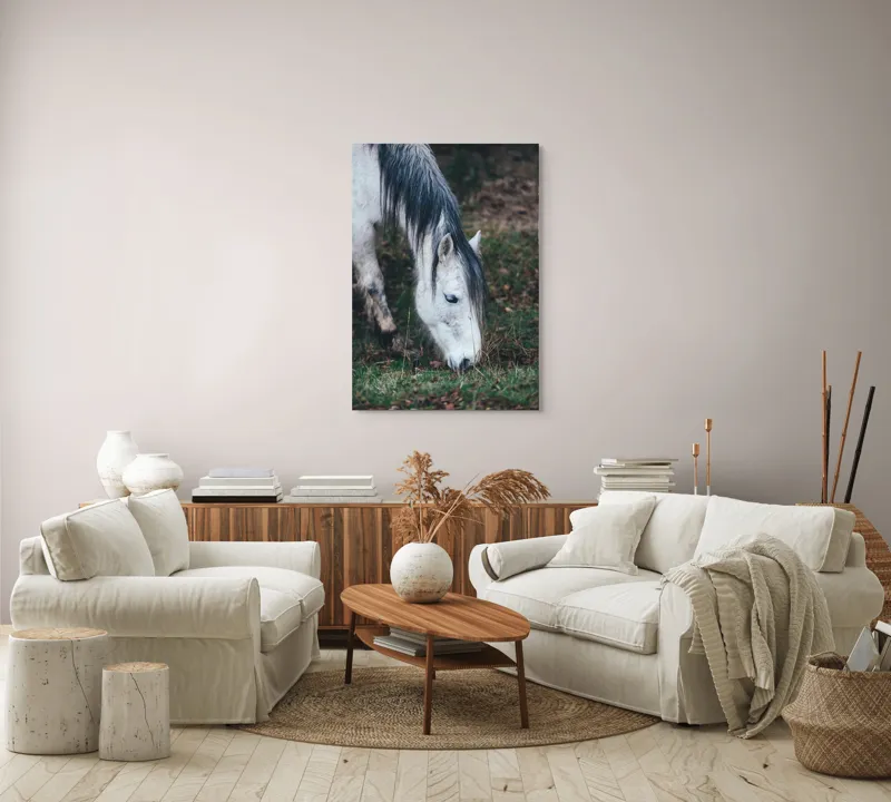 Tablou Canvas, "Cal alb pășunând în zori.", Cal, Alb, Mânz, Păr, Iarbă, Natură, Blând, Pastel, Fermecător, Rustic, 70 x 100 cm – poza 4