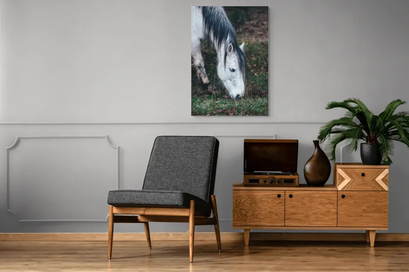 Tablou Canvas, "Cal alb pășunând în zori.", Cal, Alb, Mânz, Păr, Iarbă, Natură, Blând, Pastel, Fermecător, Rustic, 70 x 100 cm – poza 6
