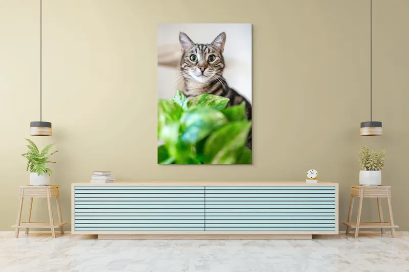 Tablou Canvas, "Pisica și frunzele misterioase ale naturii", Pisică, Ochii, Verzi, Plantă, Frunze, Blană, Tigrat, Privire, Curiozitate, Fundal, Neclar, Verde, Natură, Interior, Aproape, 100 x 150 cm – poza 4