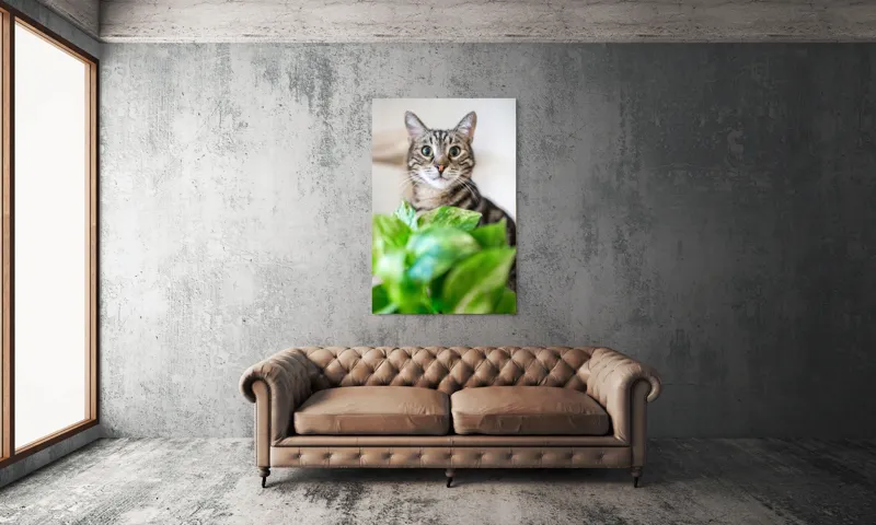 Tablou Canvas, "Pisica și frunzele misterioase ale naturii", Pisică, Ochii, Verzi, Plantă, Frunze, Blană, Tigrat, Privire, Curiozitate, Fundal, Neclar, Verde, Natură, Interior, Aproape, 100 x 150 cm – poza 6