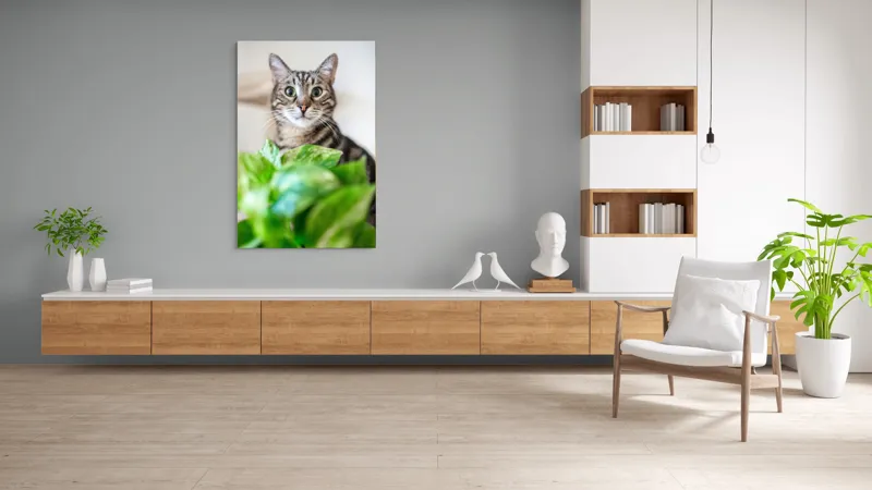Tablou Canvas, "Pisica și frunzele misterioase ale naturii", Pisică, Ochii, Verzi, Plantă, Frunze, Blană, Tigrat, Privire, Curiozitate, Fundal, Neclar, Verde, Natură, Interior, Aproape, 100 x 150 cm – poza 8