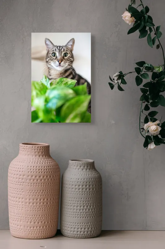 Tablou Canvas, "Pisica și frunzele misterioase ale naturii", Pisică, Ochii, Verzi, Plantă, Frunze, Blană, Tigrat, Privire, Curiozitate, Fundal, Neclar, Verde, Natură, Interior, Aproape, 26 x 39 cm – poza 6