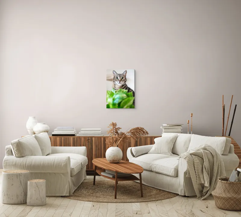 Tablou Canvas, "Pisica și frunzele misterioase ale naturii", Pisică, Ochii, Verzi, Plantă, Frunze, Blană, Tigrat, Privire, Curiozitate, Fundal, Neclar, Verde, Natură, Interior, Aproape, 39 x 54 cm – poza 5
