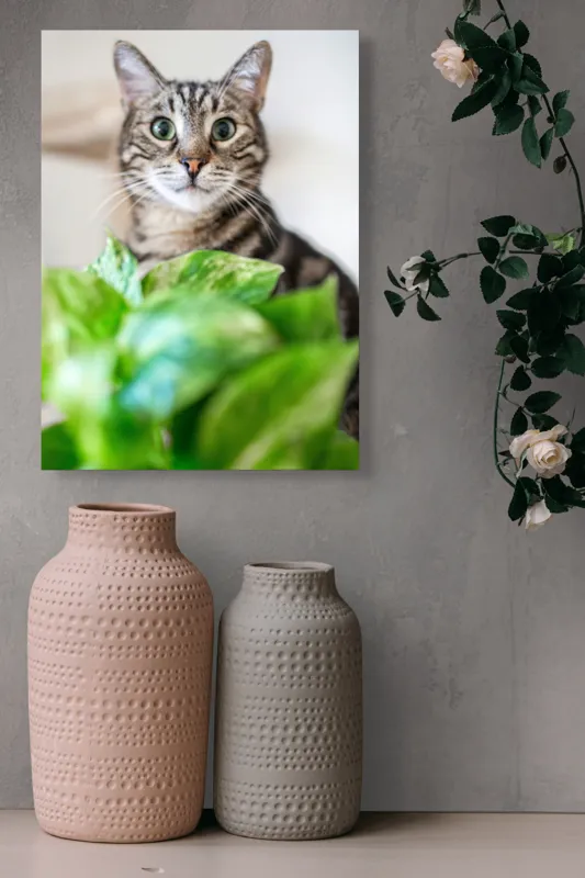 Tablou Canvas, "Pisica și frunzele misterioase ale naturii", Pisică, Ochii, Verzi, Plantă, Frunze, Blană, Tigrat, Privire, Curiozitate, Fundal, Neclar, Verde, Natură, Interior, Aproape, 39 x 54 cm – poza 6
