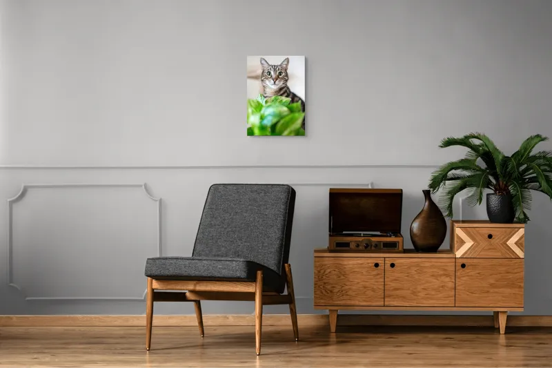 Tablou Canvas, "Pisica și frunzele misterioase ale naturii", Pisică, Ochii, Verzi, Plantă, Frunze, Blană, Tigrat, Privire, Curiozitate, Fundal, Neclar, Verde, Natură, Interior, Aproape, 39 x 54 cm – poza 8