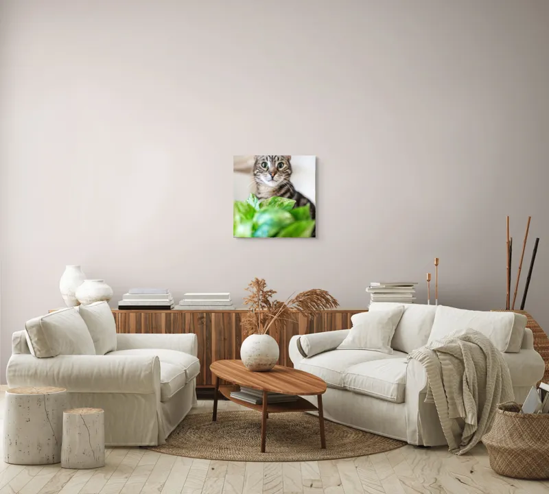 Tablou Canvas, "Pisica și frunzele misterioase ale naturii", Pisică, Ochii, Verzi, Plantă, Frunze, Blană, Tigrat, Privire, Curiozitate, Fundal, Neclar, Verde, Natură, Interior, Aproape, 50 x 50 cm – poza 7