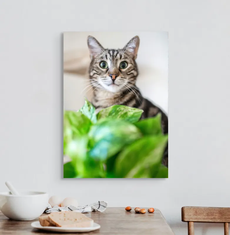 Tablou Canvas, "Pisica și frunzele misterioase ale naturii", Pisică, Ochii, Verzi, Plantă, Frunze, Blană, Tigrat, Privire, Curiozitate, Fundal, Neclar, Verde, Natură, Interior, Aproape, 50 x 70 cm – poza 3