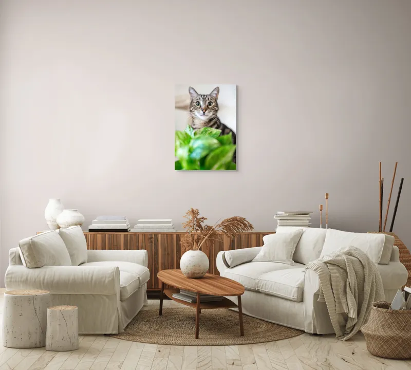 Tablou Canvas, "Pisica și frunzele misterioase ale naturii", Pisică, Ochii, Verzi, Plantă, Frunze, Blană, Tigrat, Privire, Curiozitate, Fundal, Neclar, Verde, Natură, Interior, Aproape, 50 x 70 cm – poza 4