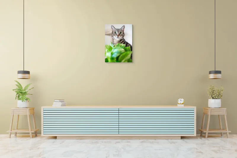 Tablou Canvas, "Pisica și frunzele misterioase ale naturii", Pisică, Ochii, Verzi, Plantă, Frunze, Blană, Tigrat, Privire, Curiozitate, Fundal, Neclar, Verde, Natură, Interior, Aproape, 50 x 70 cm – poza 6