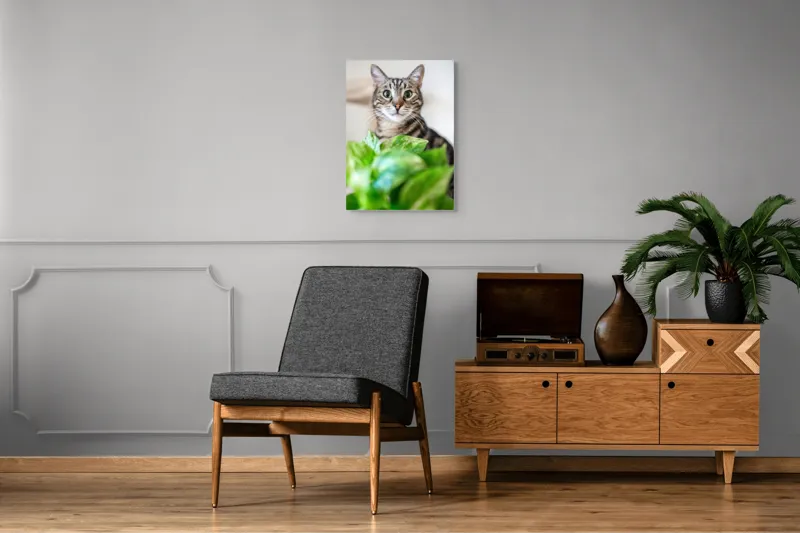 Tablou Canvas, "Pisica și frunzele misterioase ale naturii", Pisică, Ochii, Verzi, Plantă, Frunze, Blană, Tigrat, Privire, Curiozitate, Fundal, Neclar, Verde, Natură, Interior, Aproape, 50 x 70 cm – poza 8
