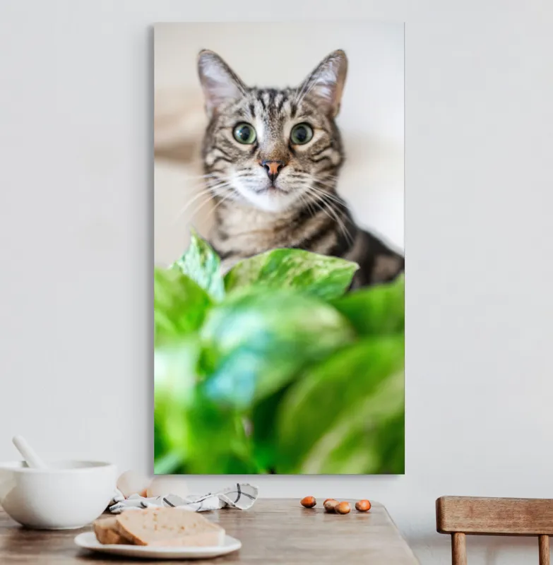 Tablou Canvas, "Pisica și frunzele misterioase ale naturii", Pisică, Ochii, Verzi, Plantă, Frunze, Blană, Tigrat, Privire, Curiozitate, Fundal, Neclar, Verde, Natură, Interior, Aproape, 50 x 90 cm – poza 3