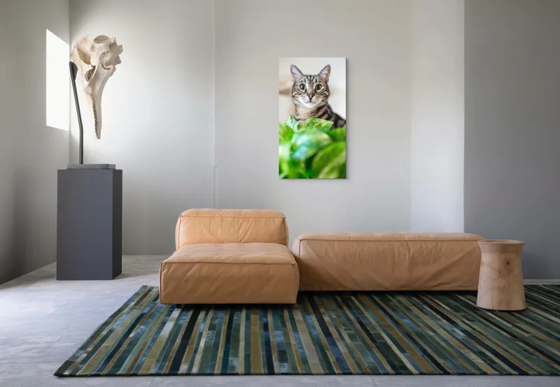 Tablou Canvas, "Pisica și frunzele misterioase ale naturii", Pisică, Ochii, Verzi, Plantă, Frunze, Blană, Tigrat, Privire, Curiozitate, Fundal, Neclar, Verde, Natură, Interior, Aproape, 50 x 90 cm – poza 5