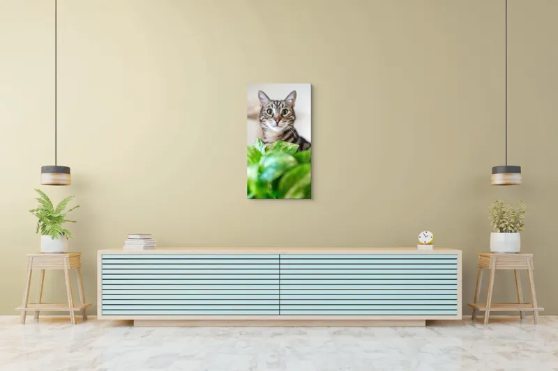 Tablou Canvas, "Pisica și frunzele misterioase ale naturii", Pisică, Ochii, Verzi, Plantă, Frunze, Blană, Tigrat, Privire, Curiozitate, Fundal, Neclar, Verde, Natură, Interior, Aproape, 50 x 90 cm – poza 6