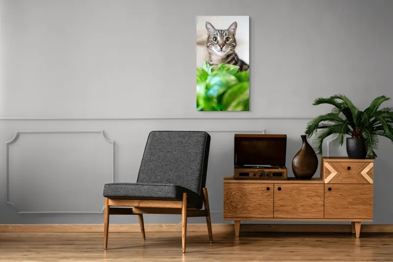 Tablou Canvas, "Pisica și frunzele misterioase ale naturii", Pisică, Ochii, Verzi, Plantă, Frunze, Blană, Tigrat, Privire, Curiozitate, Fundal, Neclar, Verde, Natură, Interior, Aproape, 50 x 90 cm – poza 8