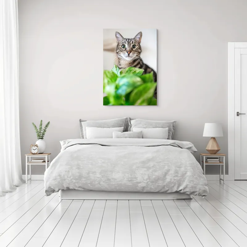 Tablou Canvas, "Pisica și frunzele misterioase ale naturii", Pisică, Ochii, Verzi, Plantă, Frunze, Blană, Tigrat, Privire, Curiozitate, Fundal, Neclar, Verde, Natură, Interior, Aproape, 70 x 100 cm – poza 3