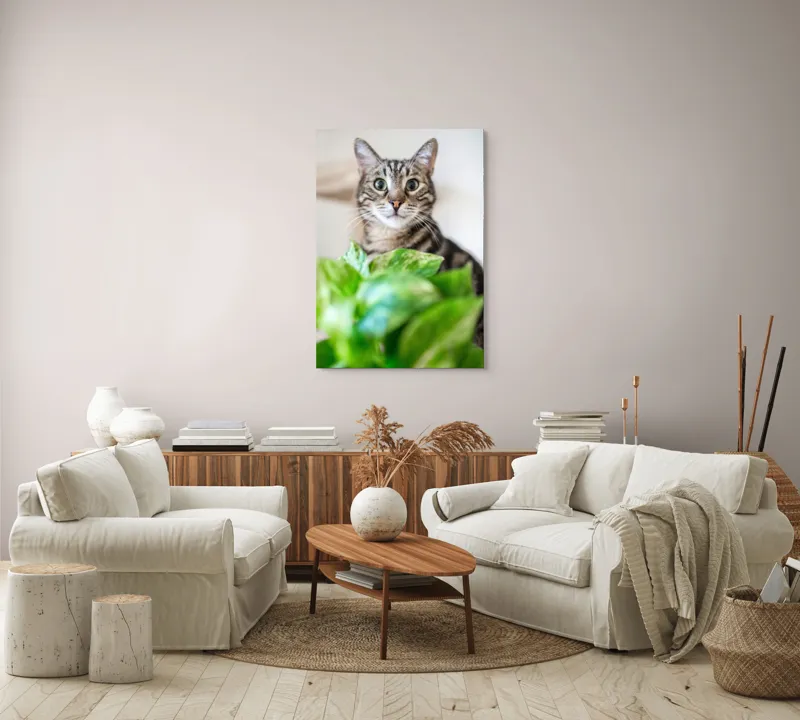 Tablou Canvas, "Pisica și frunzele misterioase ale naturii", Pisică, Ochii, Verzi, Plantă, Frunze, Blană, Tigrat, Privire, Curiozitate, Fundal, Neclar, Verde, Natură, Interior, Aproape, 70 x 100 cm – poza 4