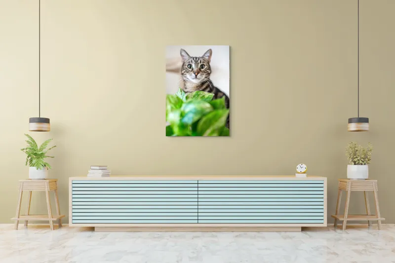 Tablou Canvas, "Pisica și frunzele misterioase ale naturii", Pisică, Ochii, Verzi, Plantă, Frunze, Blană, Tigrat, Privire, Curiozitate, Fundal, Neclar, Verde, Natură, Interior, Aproape, 70 x 100 cm – poza 5
