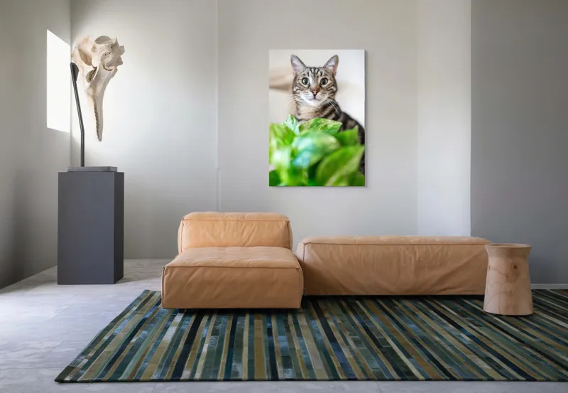 Tablou Canvas, "Pisica și frunzele misterioase ale naturii", Pisică, Ochii, Verzi, Plantă, Frunze, Blană, Tigrat, Privire, Curiozitate, Fundal, Neclar, Verde, Natură, Interior, Aproape, 70 x 100 cm – poza 7