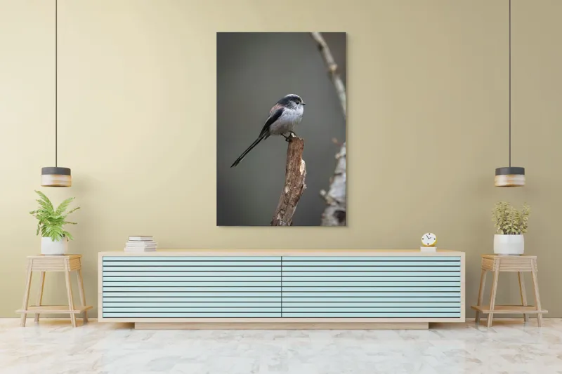 Tablou Canvas, "Păsărea melancolică pe ram uscat", Pasăre, Creangă, Subțire, Penaj, Natură, 100 x 150 cm – poza 4