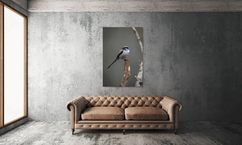 Tablou Canvas, "Păsărea melancolică pe ram uscat", Pasăre, Creangă, Subțire, Penaj, Natură, 100 x 150 cm – poza 6