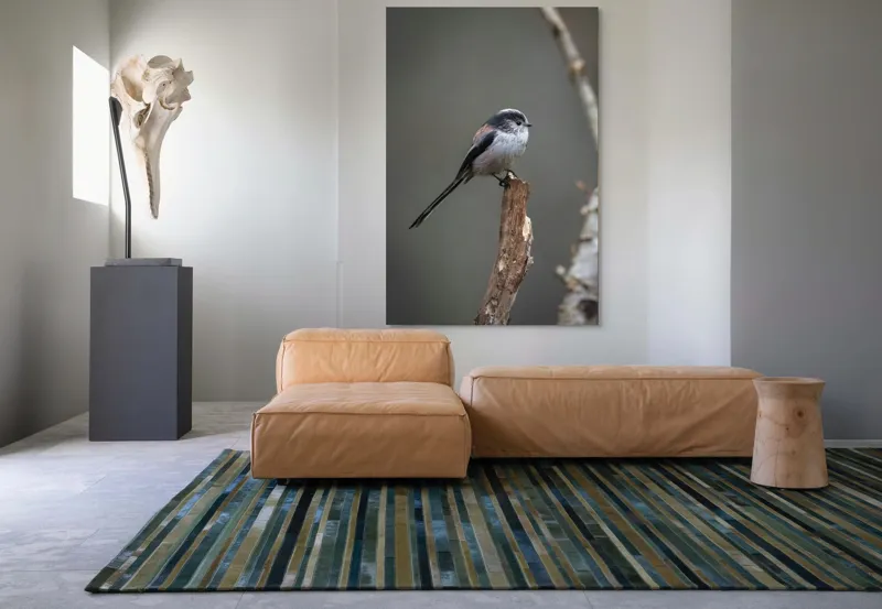 Tablou Canvas, "Păsărea melancolică pe ram uscat", Pasăre, Creangă, Subțire, Penaj, Natură, 100 x 150 cm – poza 7
