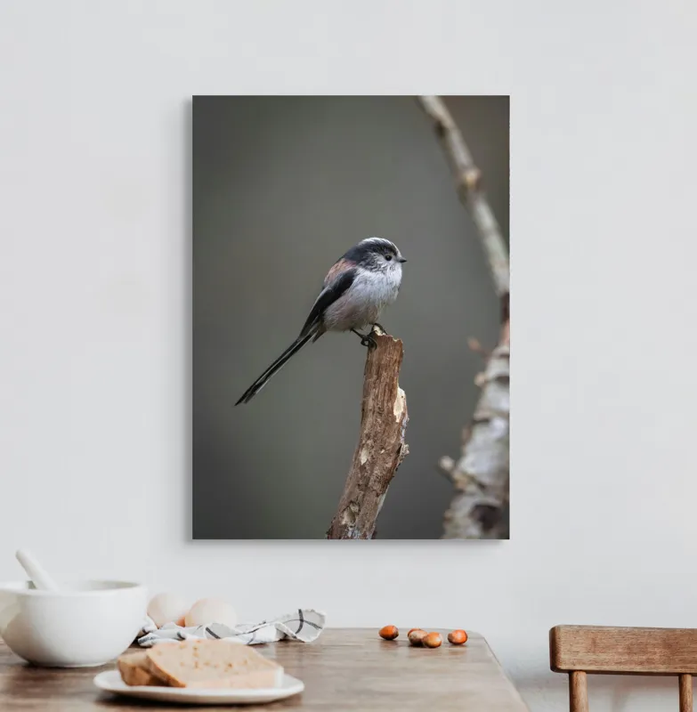 Tablou Canvas, "Păsărea melancolică pe ram uscat", Pasăre, Creangă, Subțire, Penaj, Natură, 50 x 70 cm – poza 3