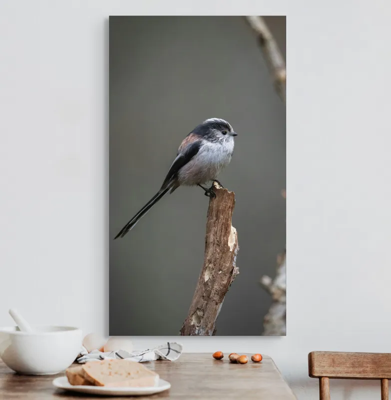 Tablou Canvas, "Păsărea melancolică pe ram uscat", Pasăre, Creangă, Subțire, Penaj, Natură, 50 x 90 cm – poza 3
