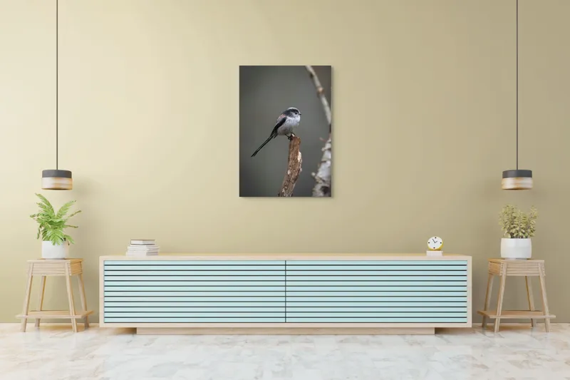 Tablou Canvas, "Păsărea melancolică pe ram uscat", Pasăre, Creangă, Subțire, Penaj, Natură, 70 x 100 cm – poza 5