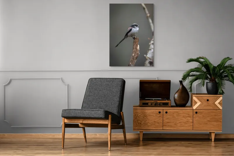 Tablou Canvas, "Păsărea melancolică pe ram uscat", Pasăre, Creangă, Subțire, Penaj, Natură, 70 x 100 cm – poza 6